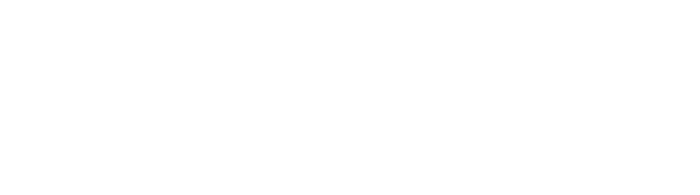 Wordmark · White